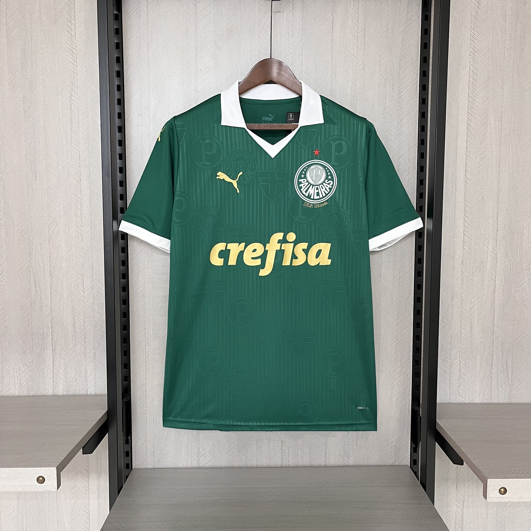 Camisa do Palmeiras 2024/25 Home
