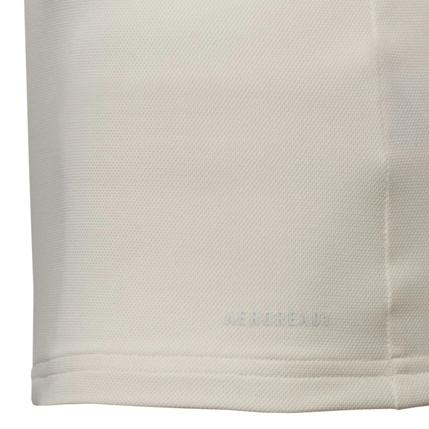 Camisa da Colombia 2024/25 100th Anniversary